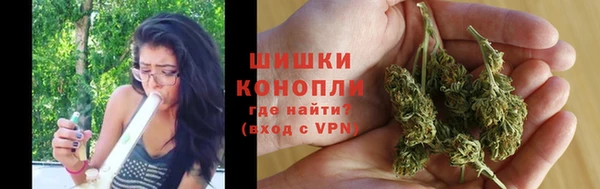 стаф Белокуриха