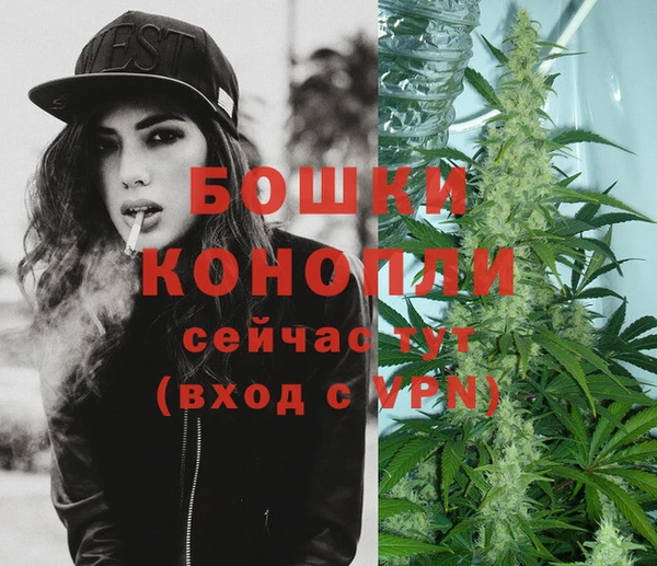 стаф Белокуриха