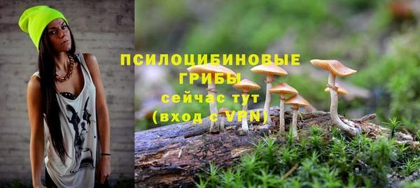 стаф Белокуриха