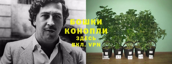 стаф Белокуриха
