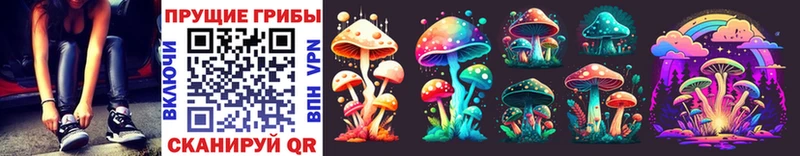 где купить наркотик  блэк спрут вход  Псилоцибиновые грибы Psilocybine cubensis  Кунгур 